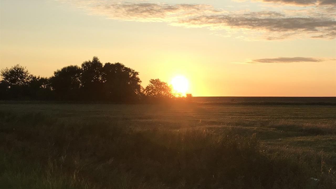 Sonnenuntergang über dem Außendeich Sonnenuntergang über dem Außendeich